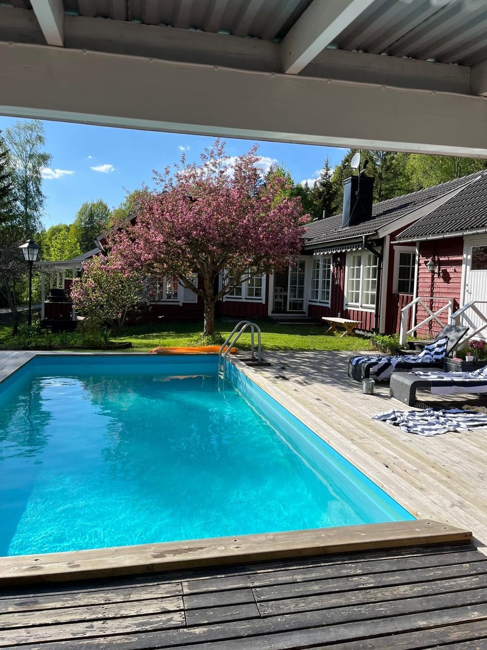 Garden, Pool view, Swimming pool, furniture, sunbed