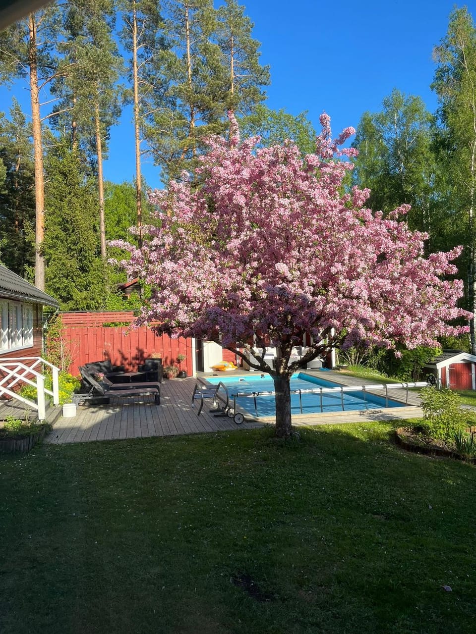 Other, Garden view, Pool view, Swimming pool, furniture, sunbed