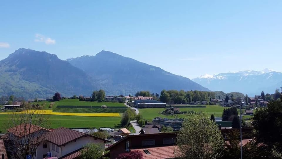Stockhorn Apartment - Aare Jungfrau AG Apartment in Canton of Bern (Region)