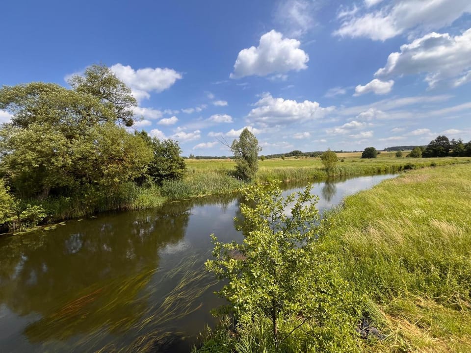 River view