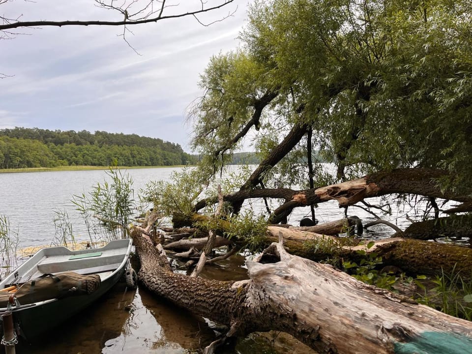 Natural landscape, Lake view