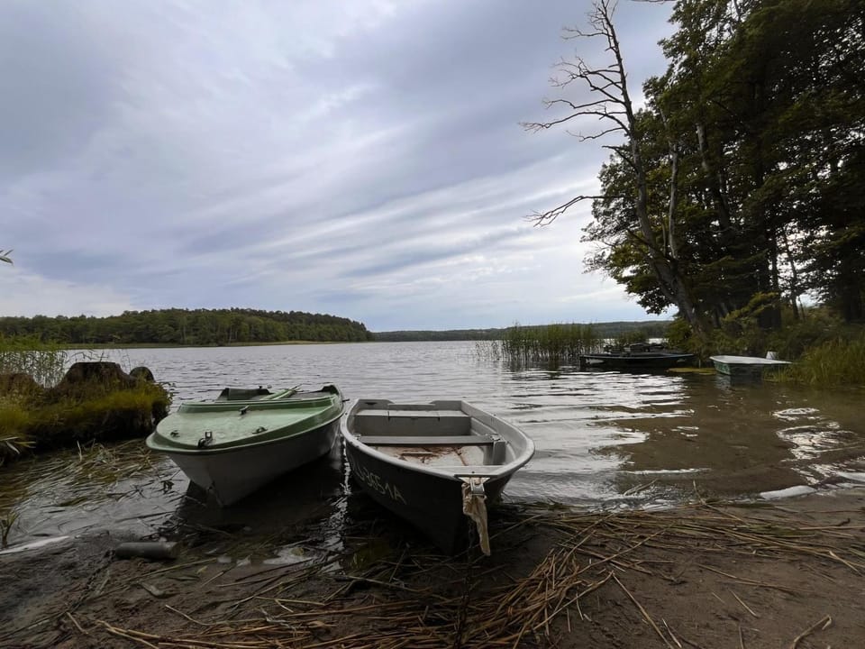 Lake view