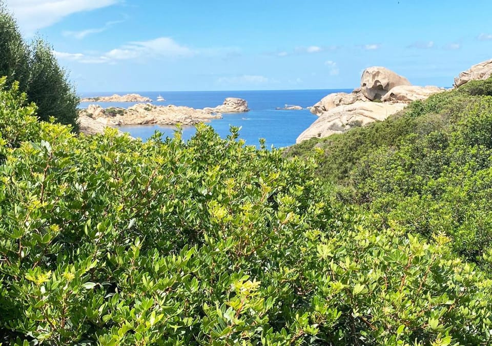 Spring, Day, Natural landscape, Sea view