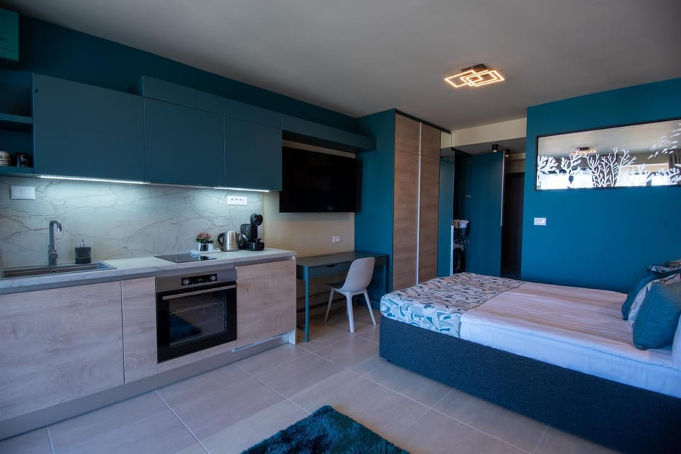 TV and multimedia, Kitchen or kitchenette, Living room, Photo of the whole room, Bedroom, oven, stove, washing machine