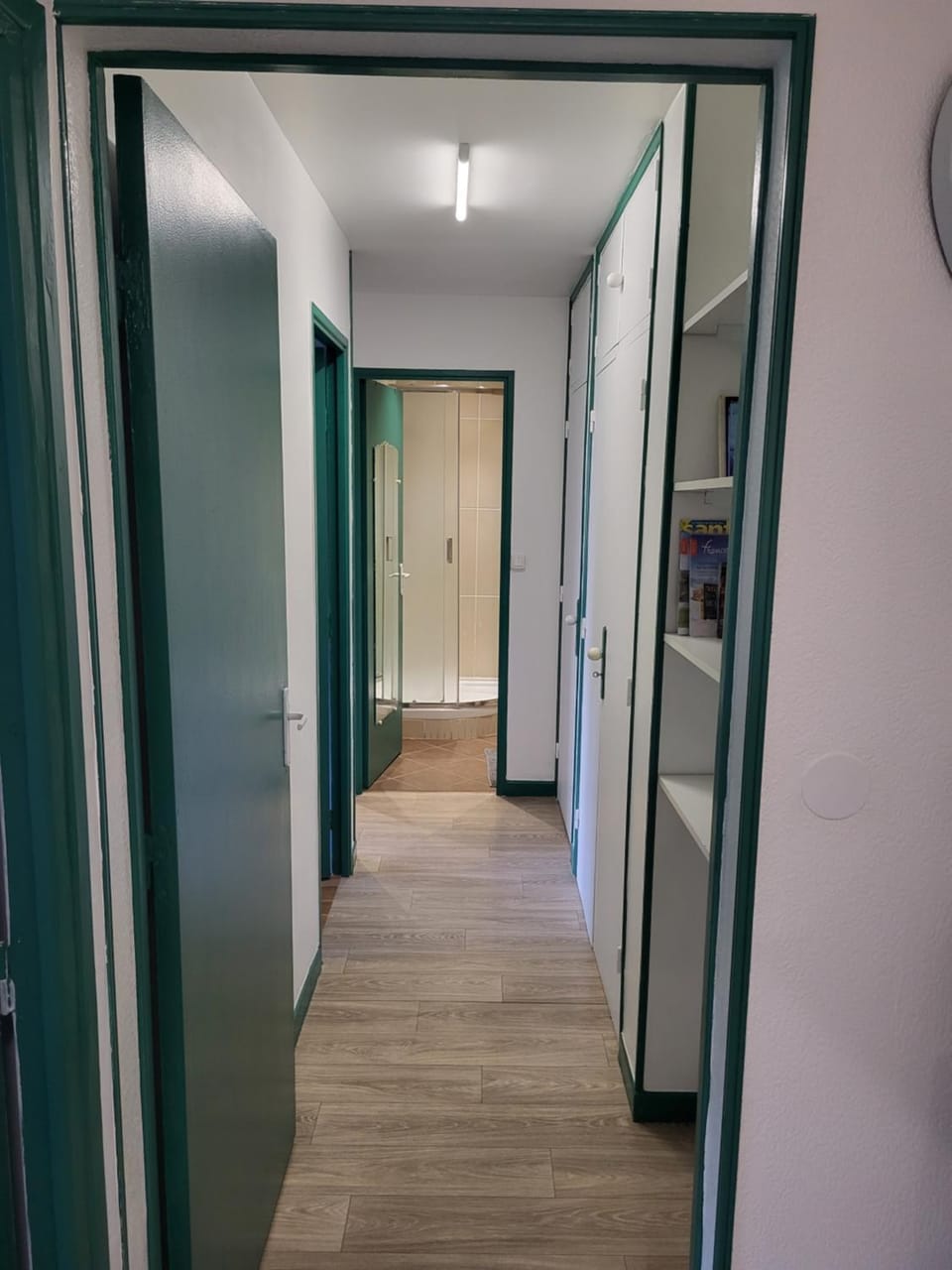 Private Room-3 in HANNANA Apartment- 2 min walk To Tram 12 min to Nice train station 15 min to Massena Place Vacation rental in Nice