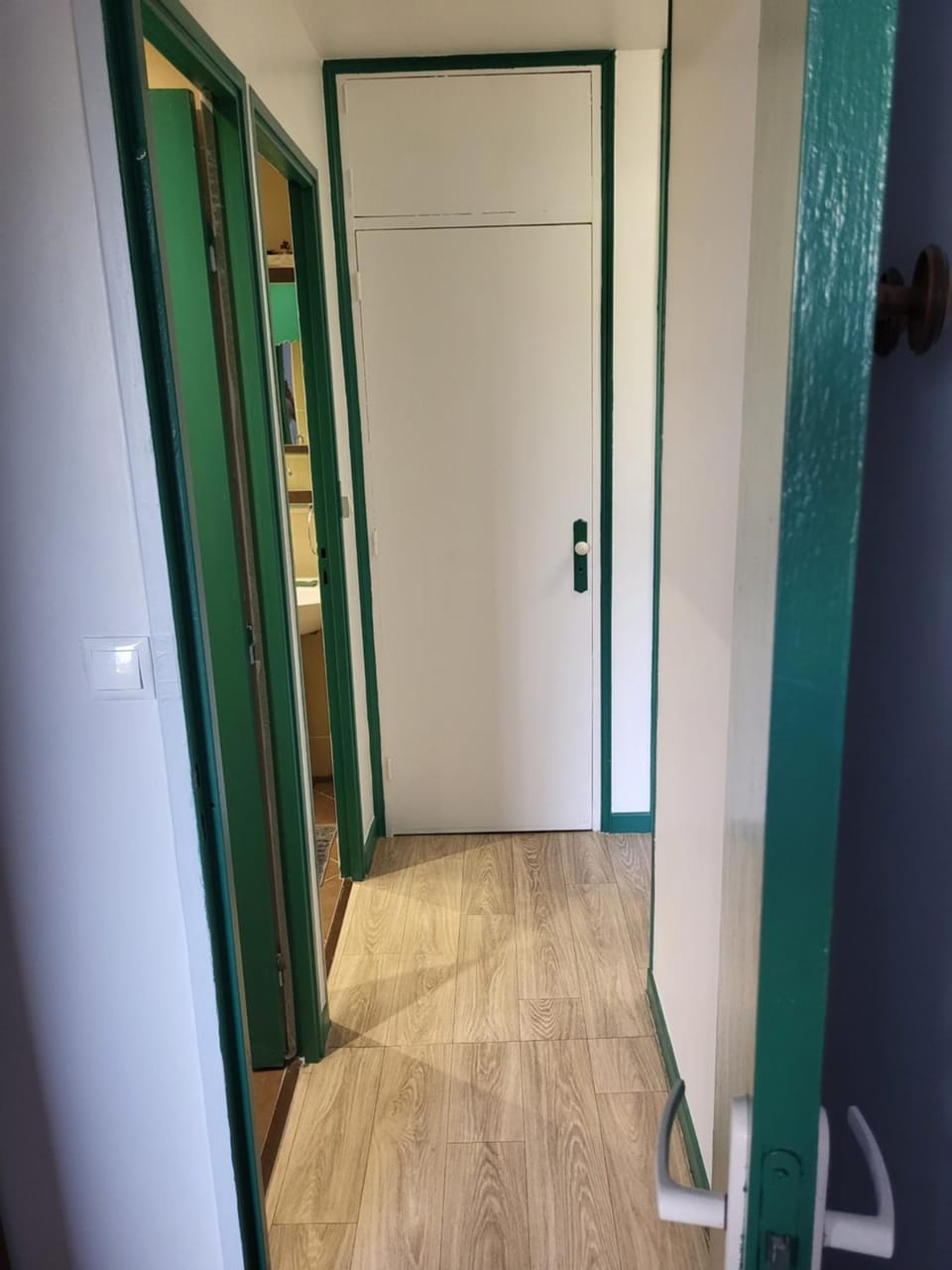 Private Room-3 in HANNANA Apartment- 2 min walk To Tram 12 min to Nice train station 15 min to Massena Place Vacation rental in Nice