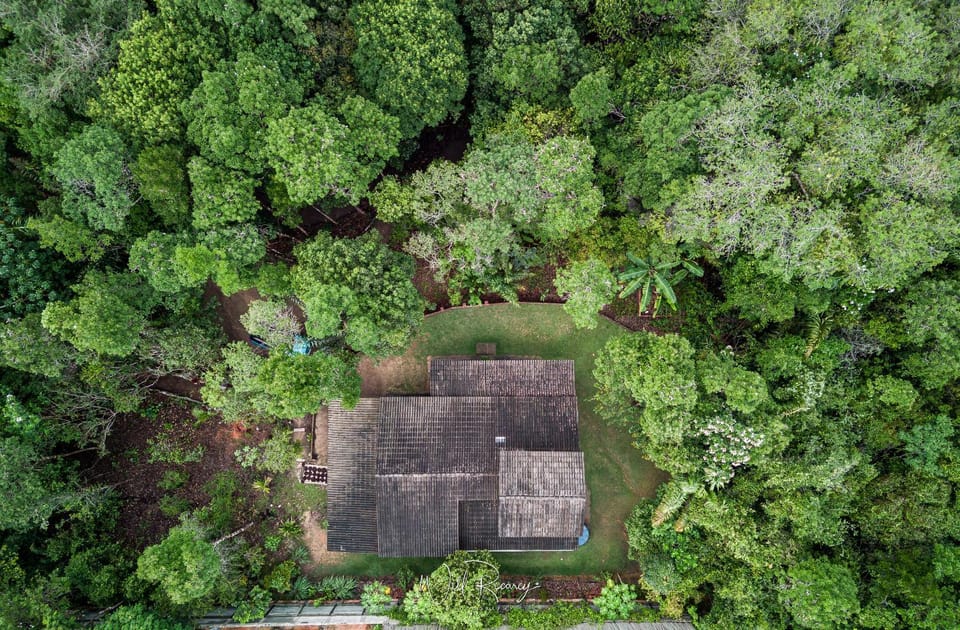 Natural landscape, Bird's eye view, Garden view