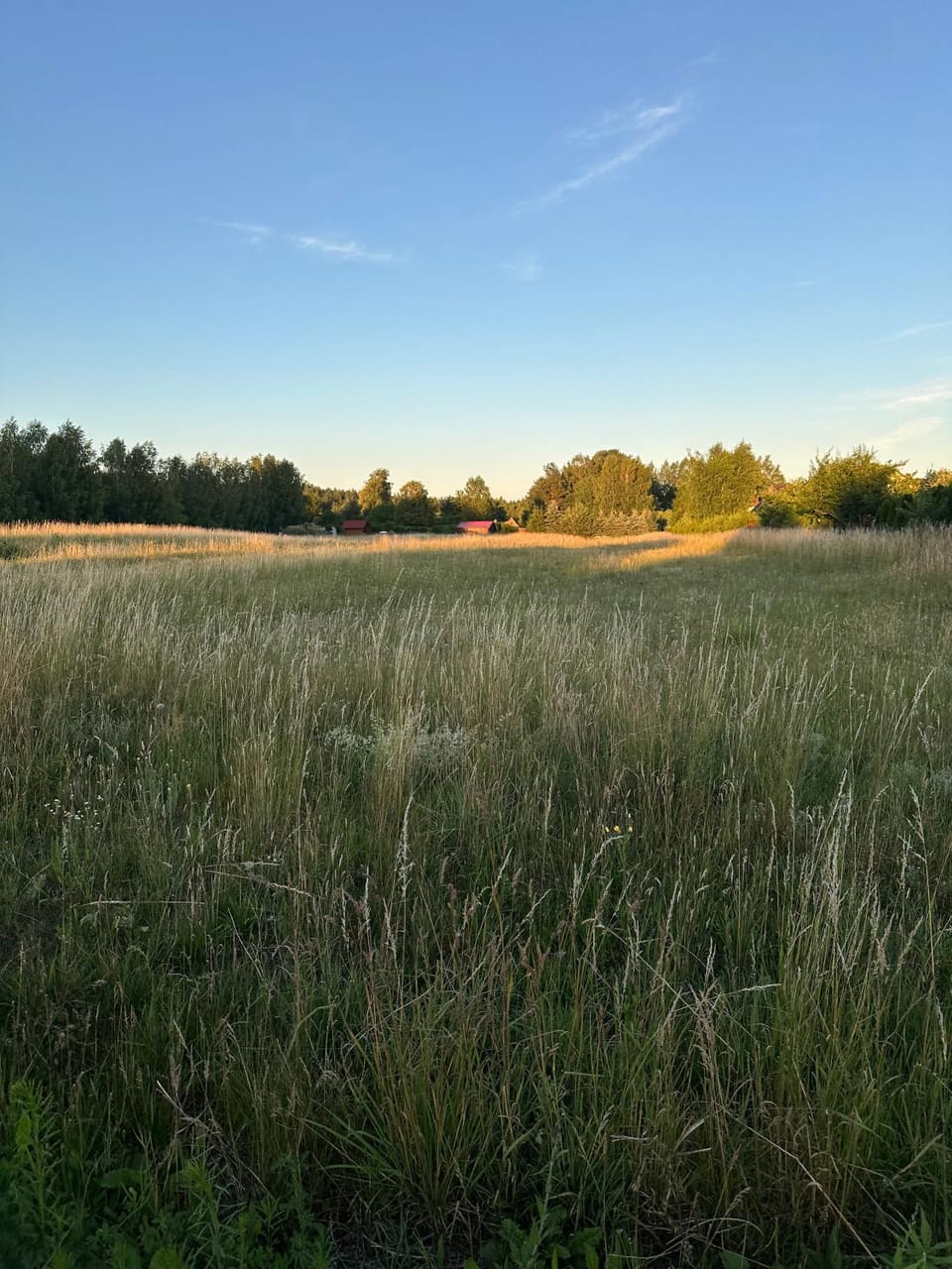 Day, Natural landscape