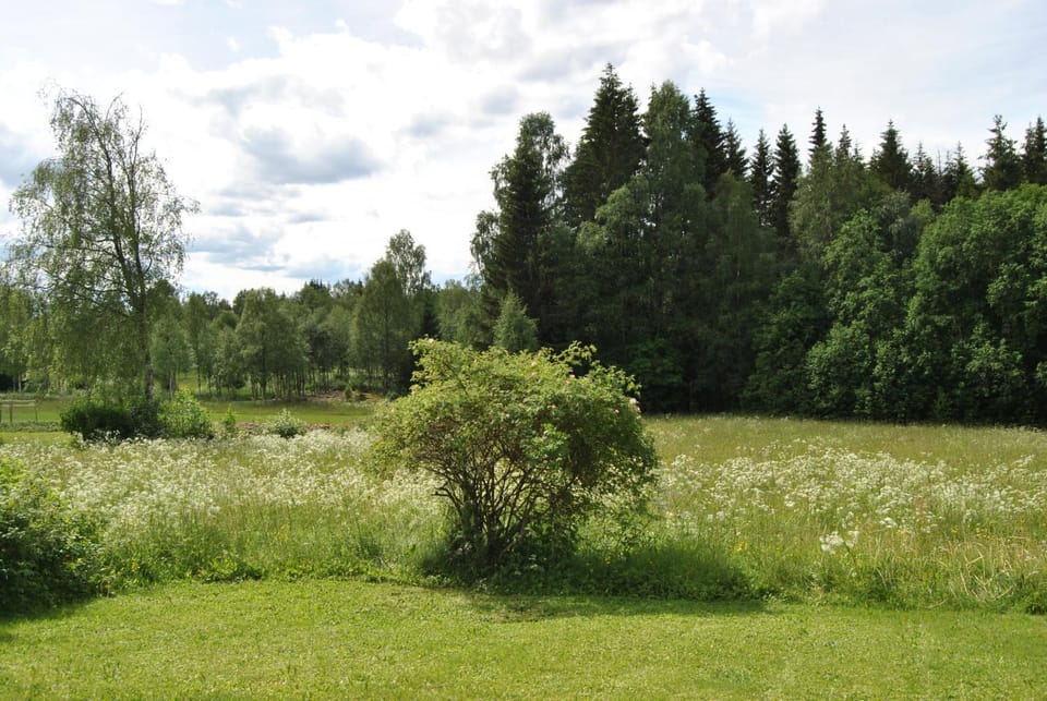 Natural landscape