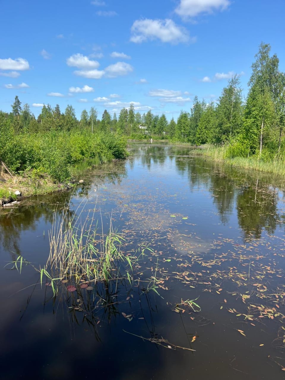 Lake view