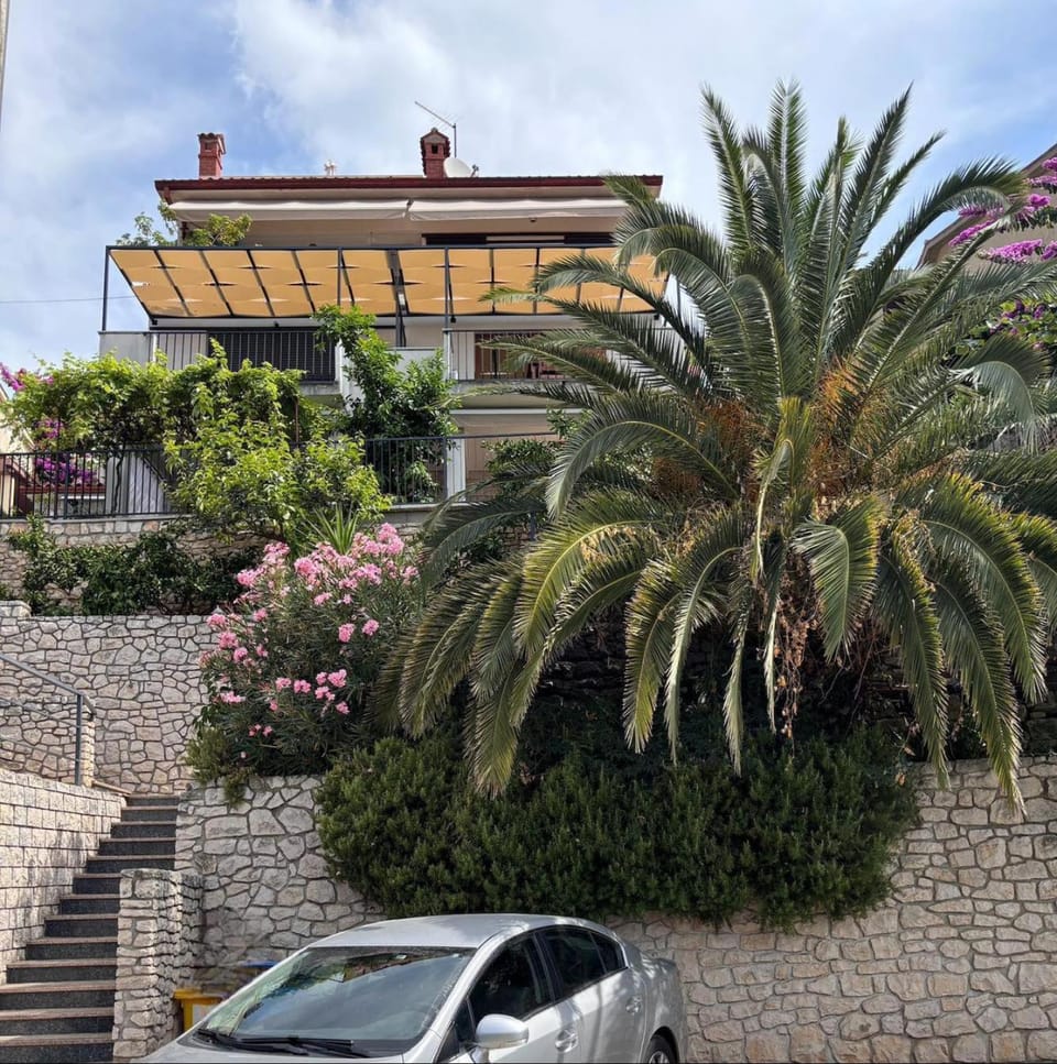 Property building, Garden view