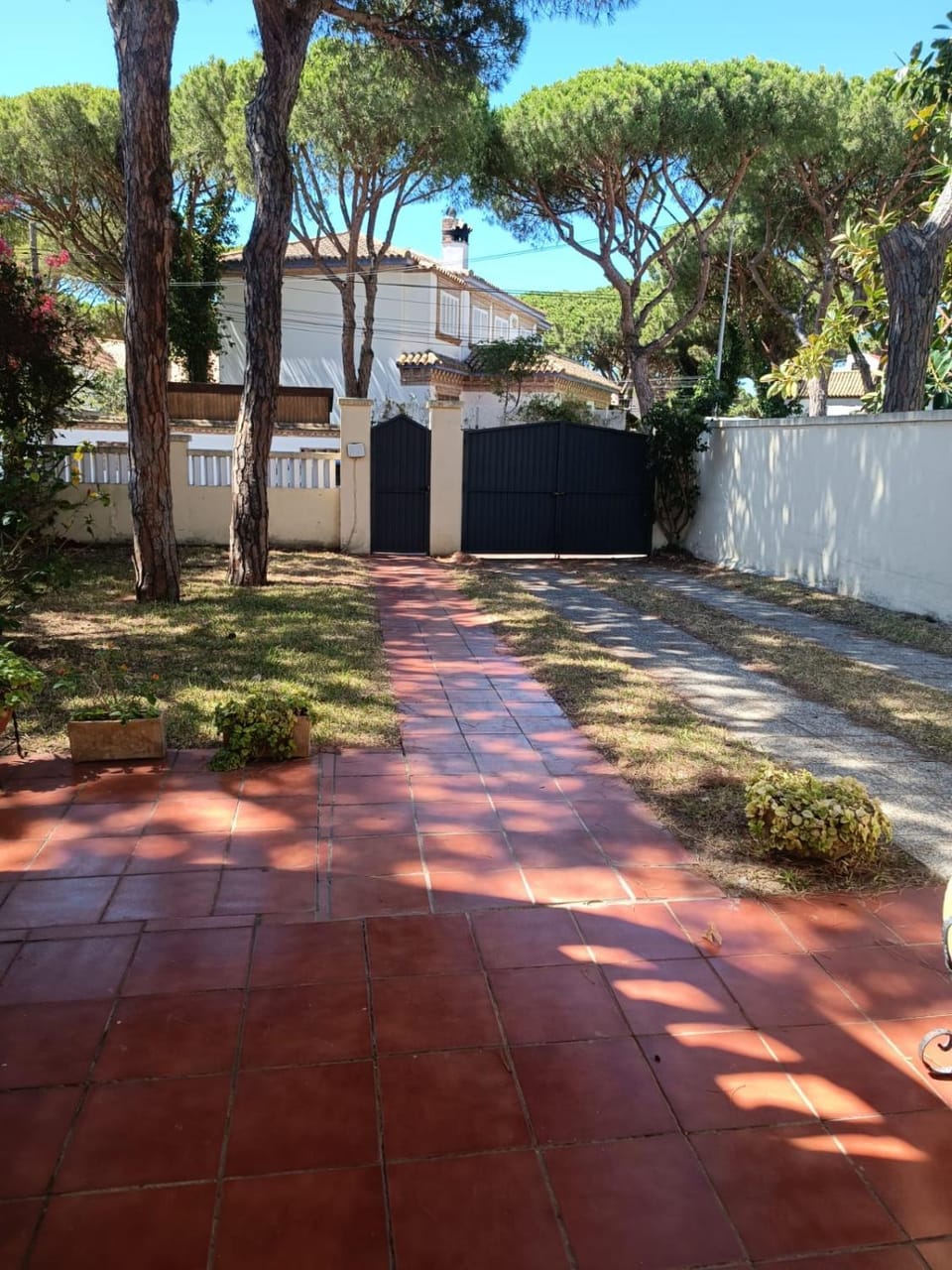 Garden view
