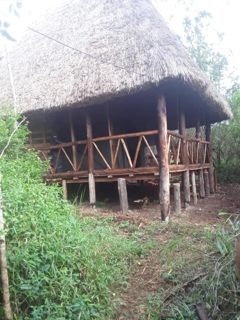 Kibale Forest Cottages And Campsite Hotel in Uganda