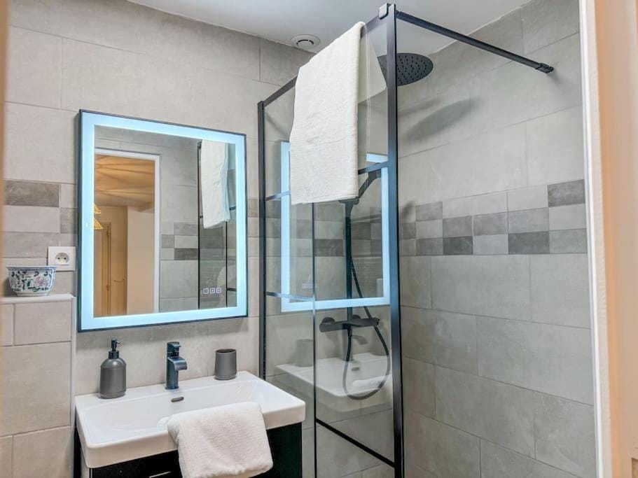 Élégance au Cœur de Tarbes Apartment in Occitanie