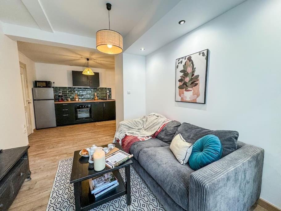 Élégance au Cœur de Tarbes Apartment in Occitanie