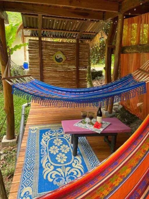 Patio, Natural landscape, Garden