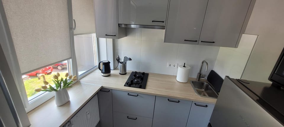 Paryžiaus 8 Apartment in Klaipėda