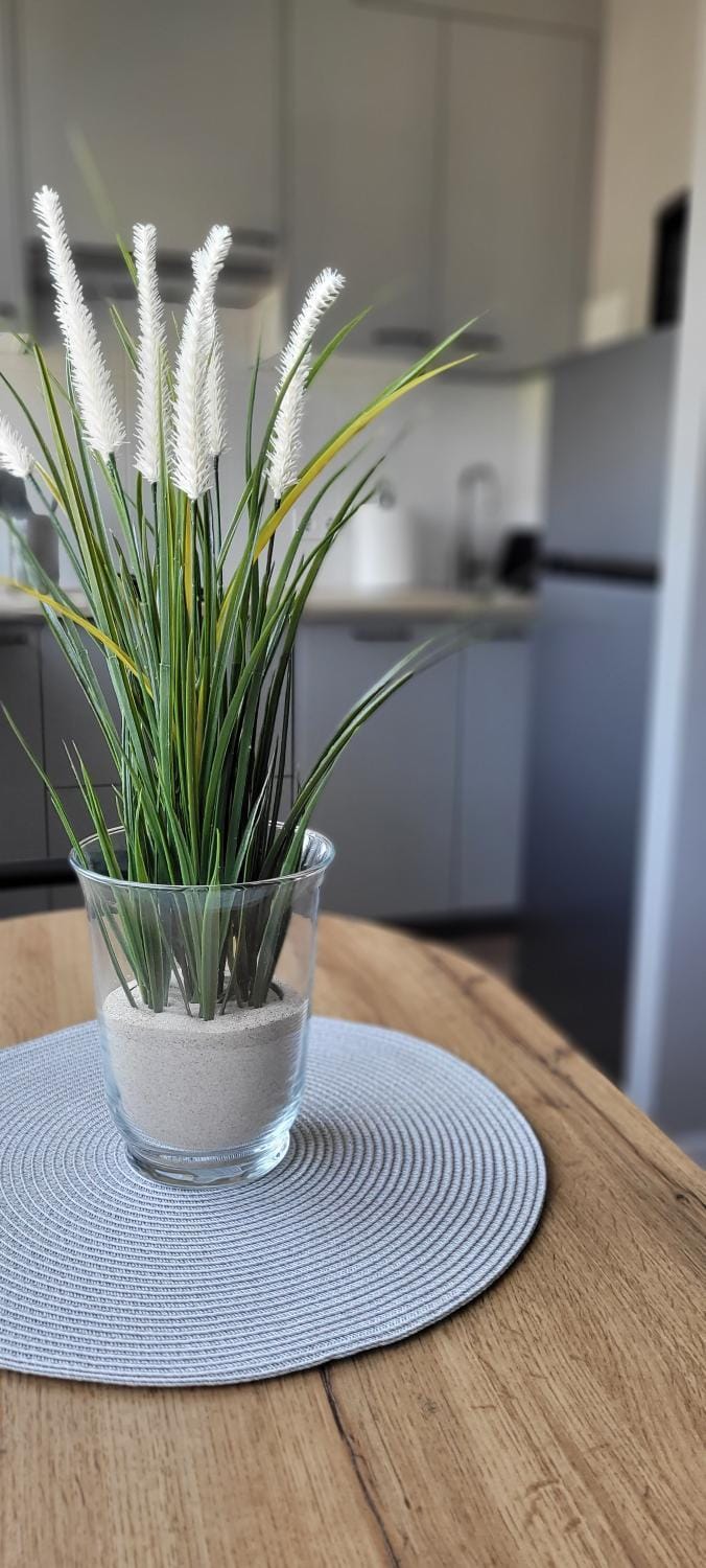 Paryžiaus 8 Apartment in Klaipėda