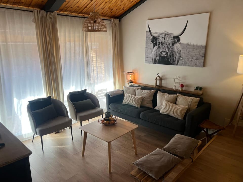 Escapada Apartment in Puigcerdà