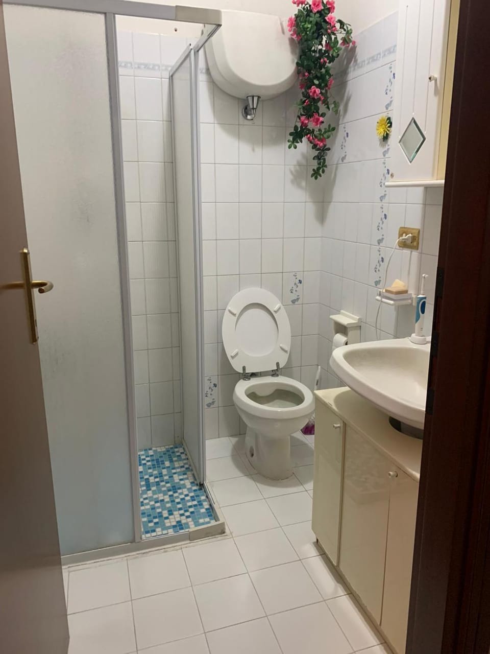 La Rosa della Val D'Orcia Apartment in San Quirico d'Orcia