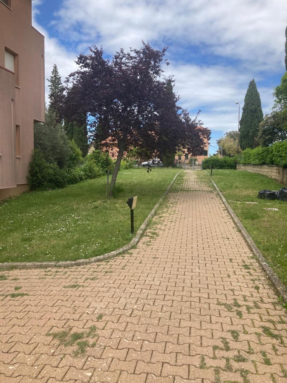 La Rosa della Val D'Orcia Apartment in San Quirico d'Orcia