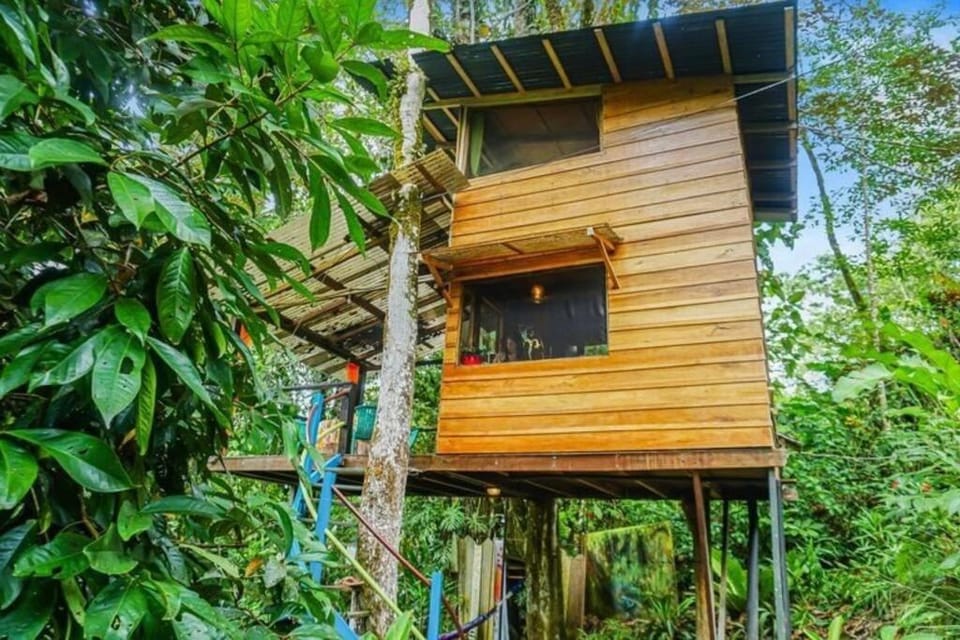 Property building, Natural landscape, Garden view
