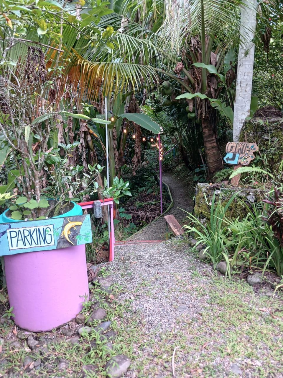 Garden