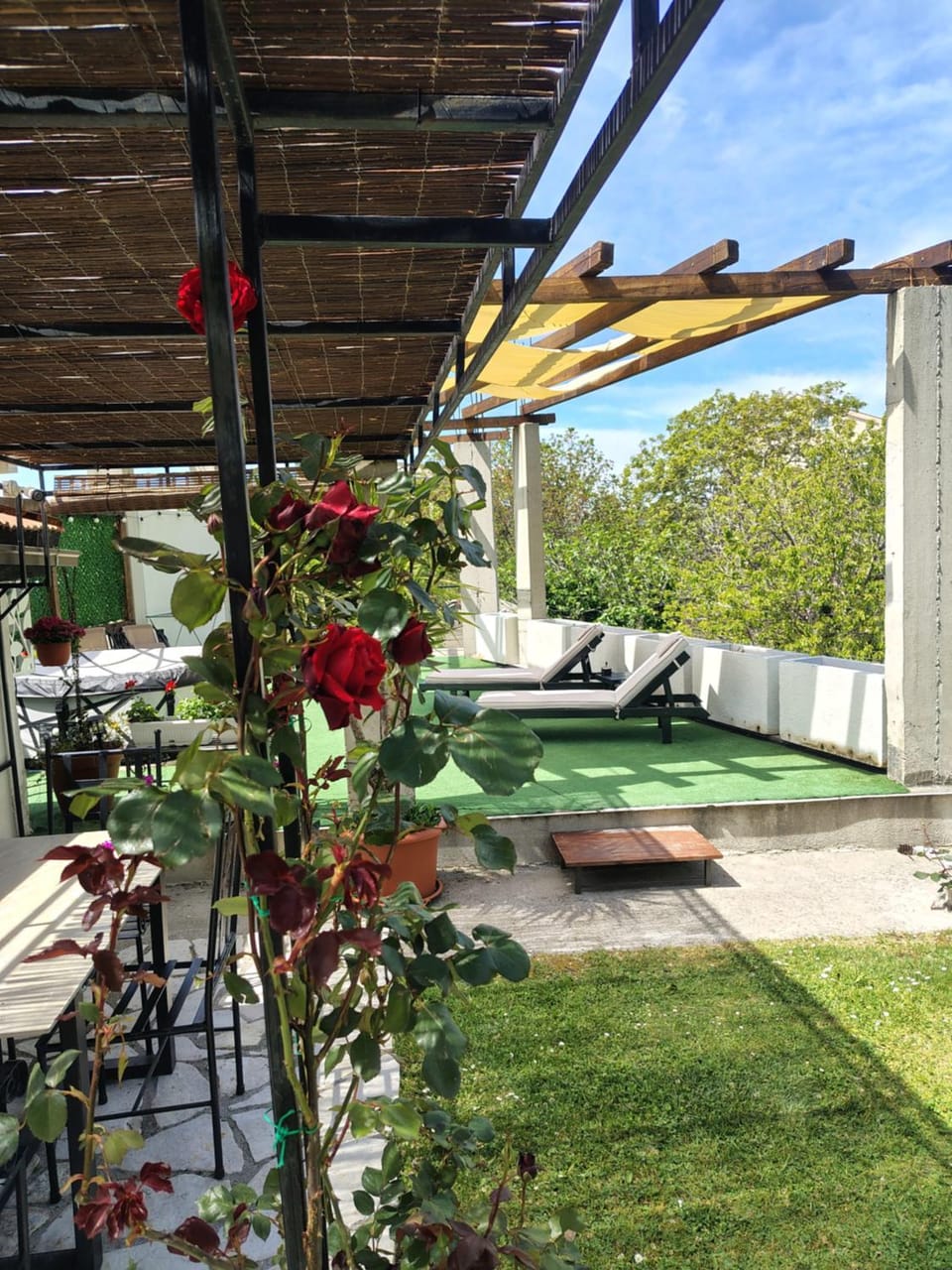 Garden view