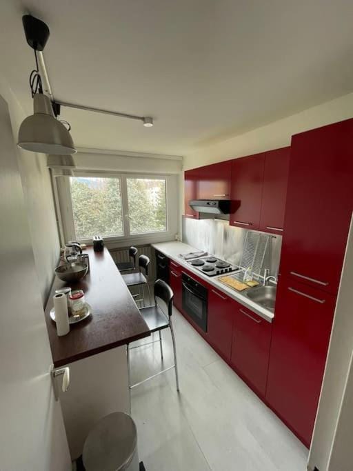Geneva Residences - Cozy apartment close to UN Apartment in Haute-Savoie