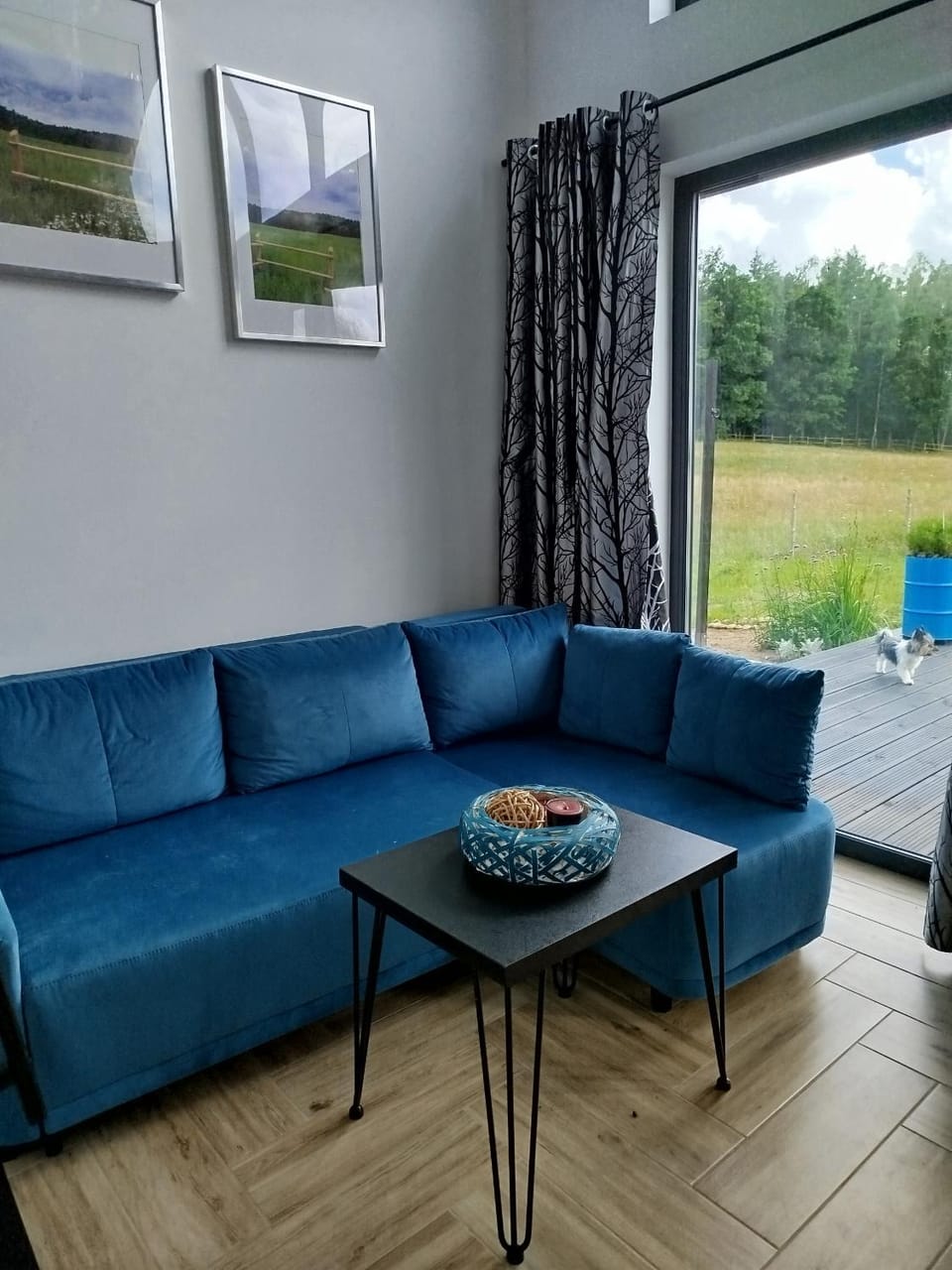 Domek letniskowy - Leśna chmurka - sauna, bania House in Pomeranian Voivodeship