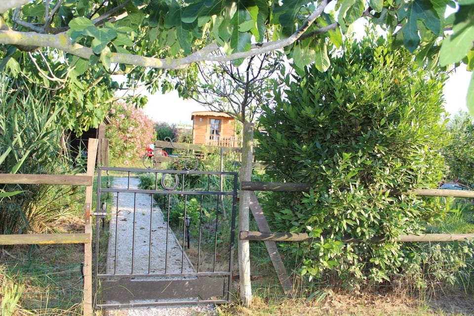 Spring, Day, Natural landscape, Garden view