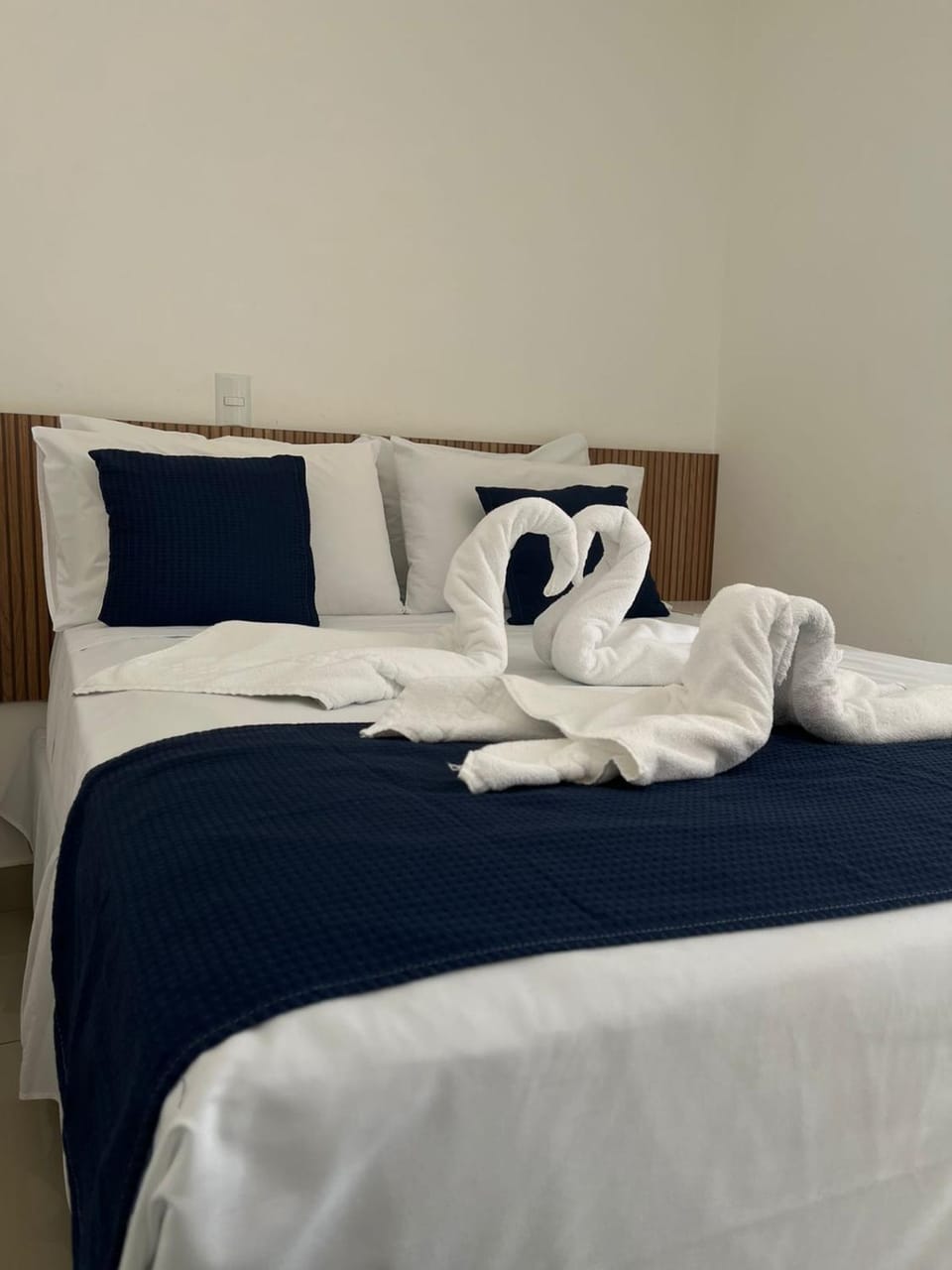 Hotel Areião Hotel in Goiania