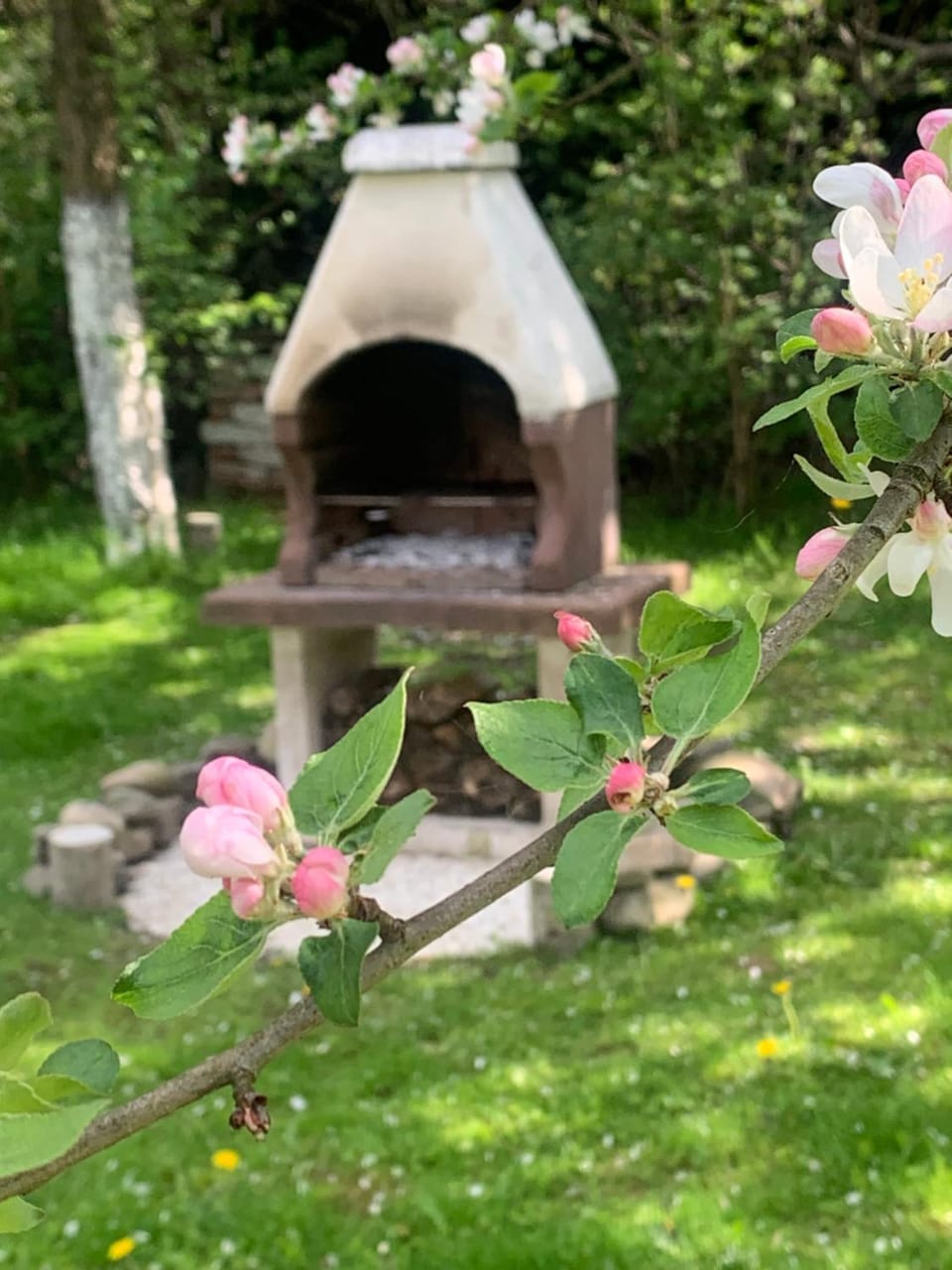 BBQ facilities
