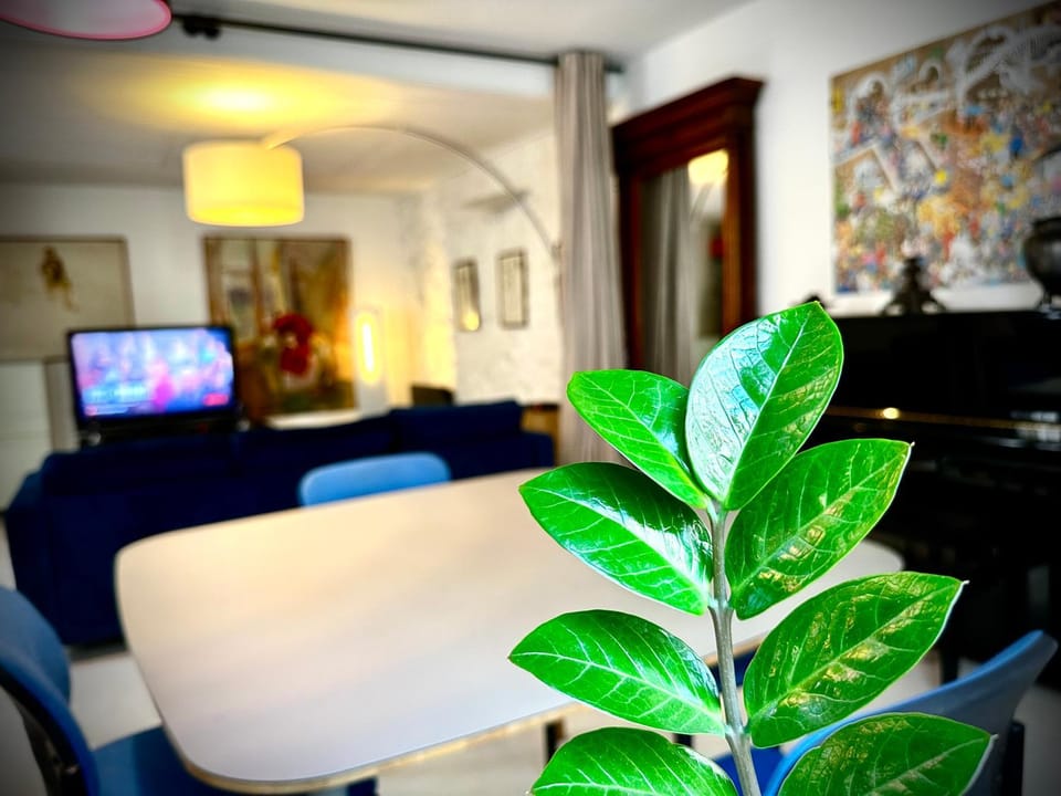 Large Studio North Marais Apartment in Paris