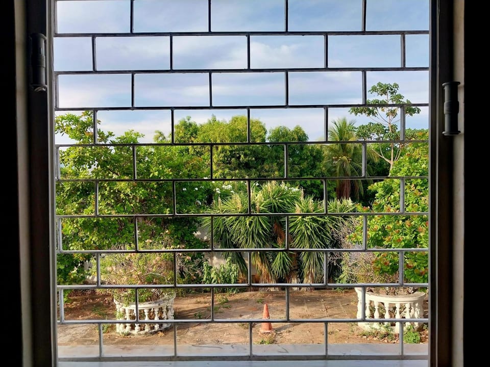 Garden, View (from property/room), Garden view