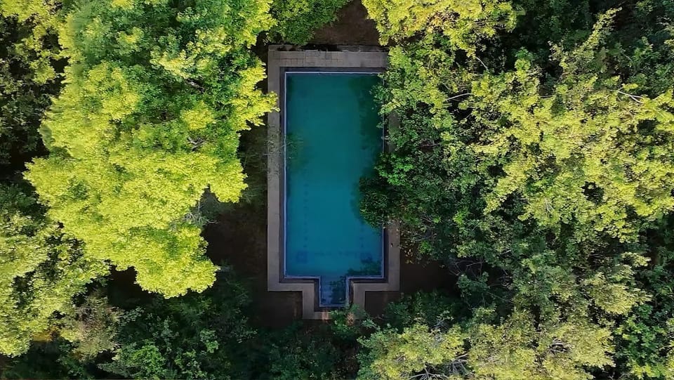 Spring, Day, Natural landscape, Bird's eye view, Garden, Garden view, Pool view, Swimming pool