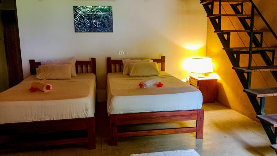 Bed, Photo of the whole room, Bedroom, bunk bed