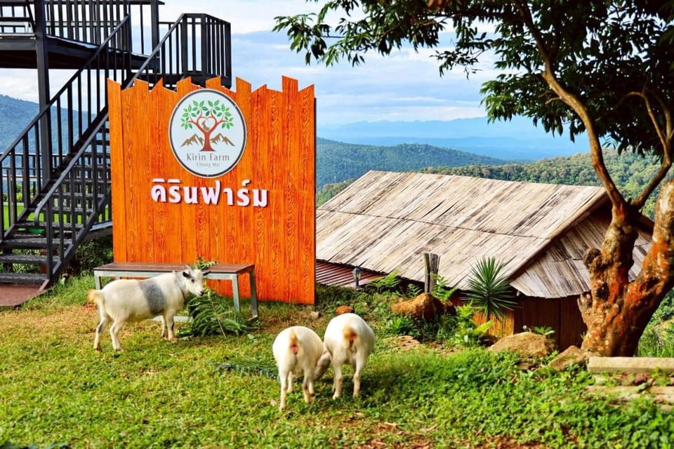 Kirin Farm Nature lodge in Thailand
