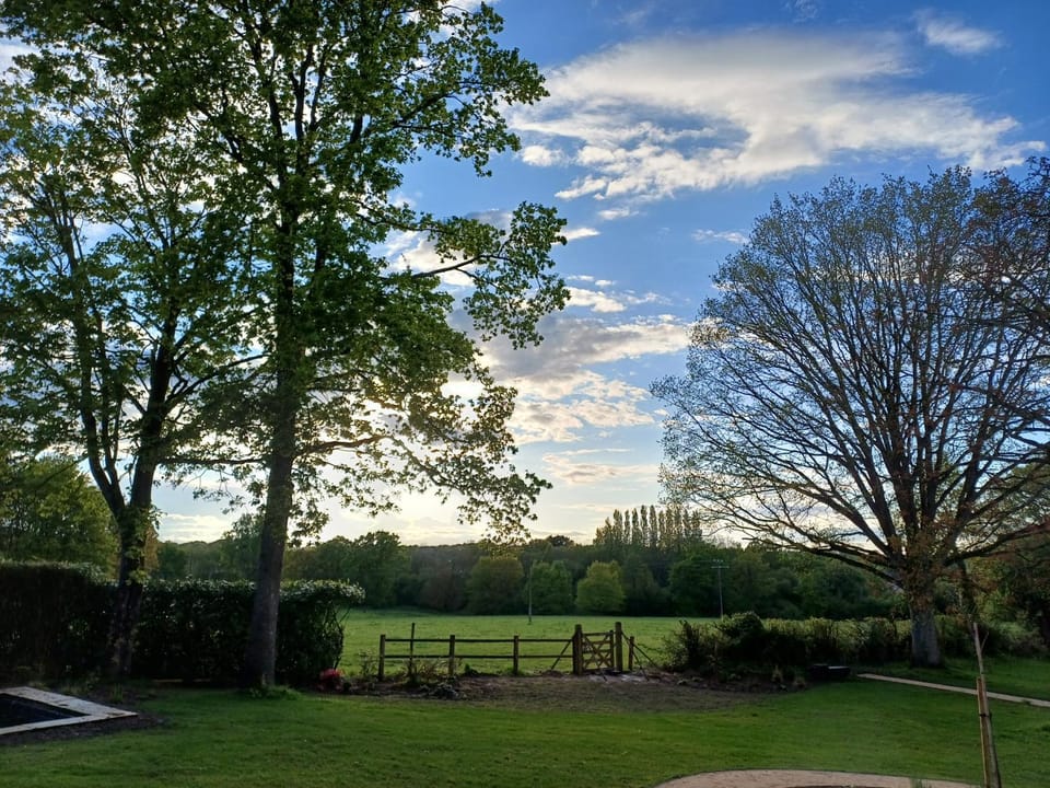 View (from property/room)
