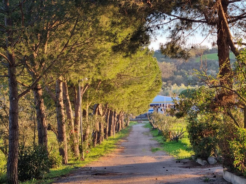 Quiet street view