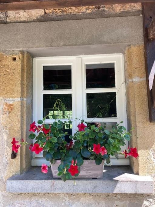 Vakantiehuis La Poire, op landgoed aan de Dordogne House in Occitanie
