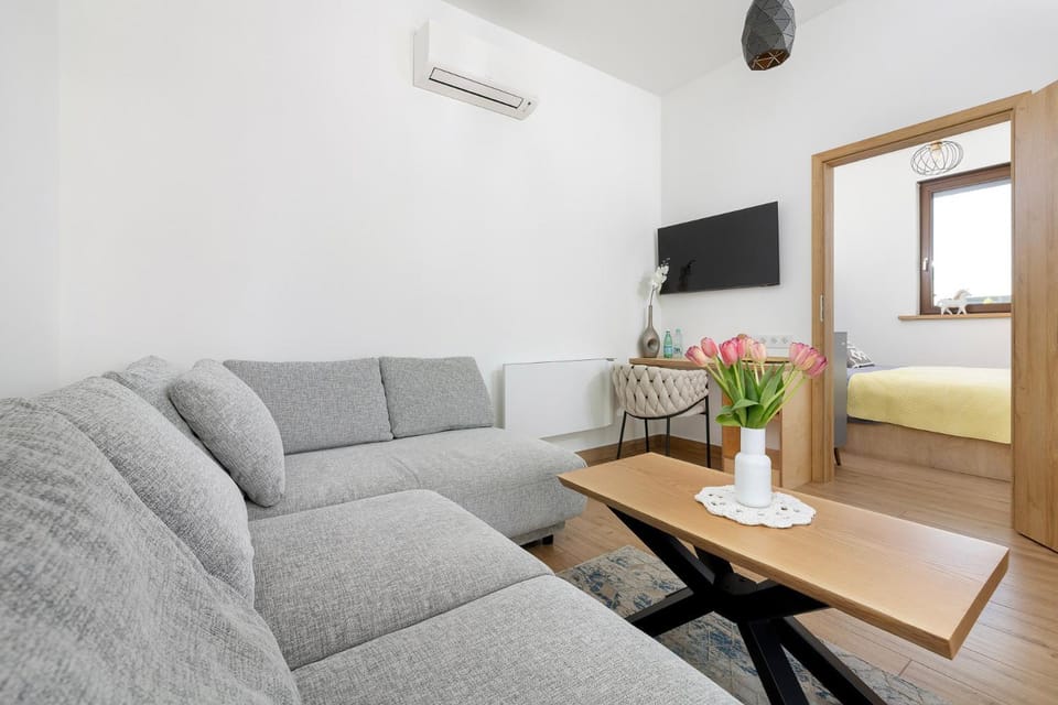 TV and multimedia, Living room, Seating area, air conditioner