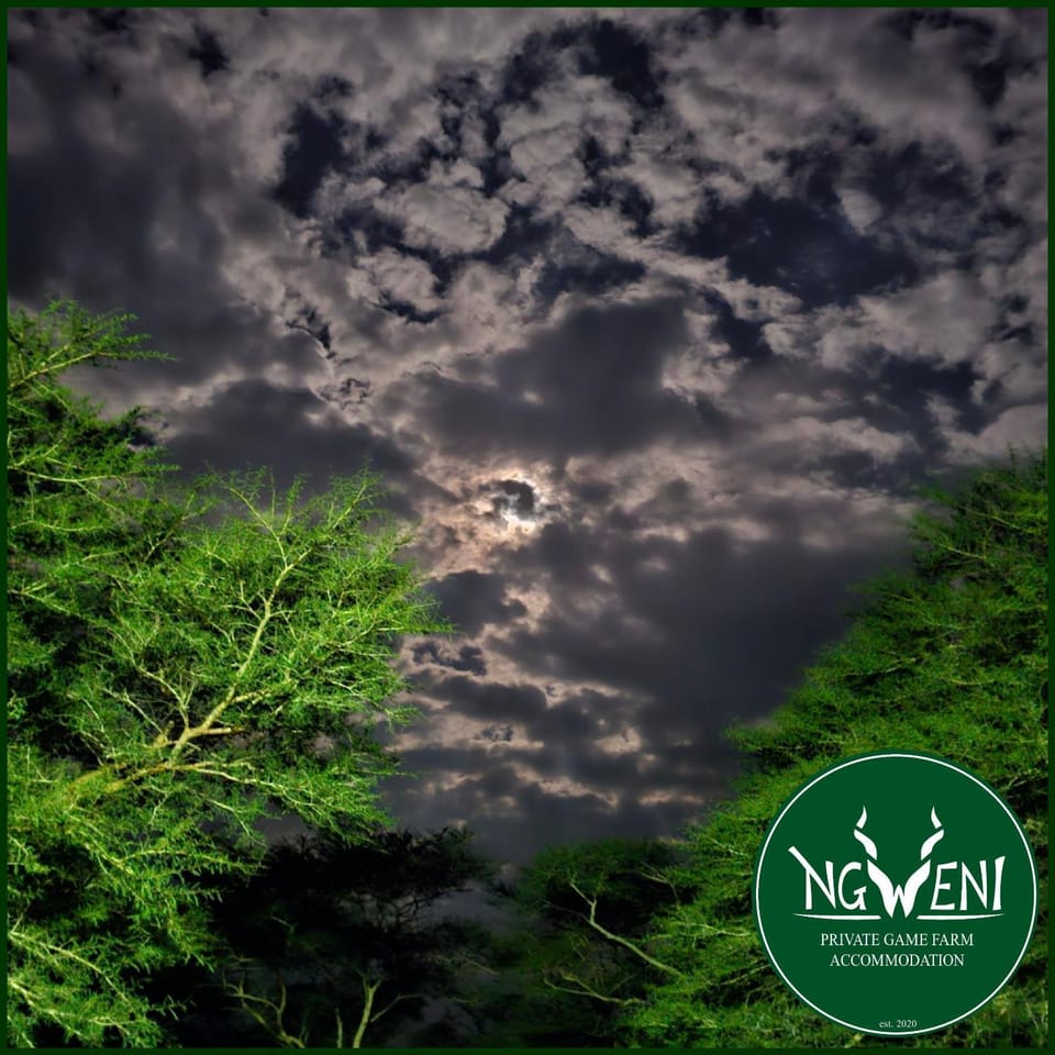 Off-Grid Campsites at Ngweni Private Game Farm Accommodation Campground/ 
RV Resort in KwaZulu-Natal