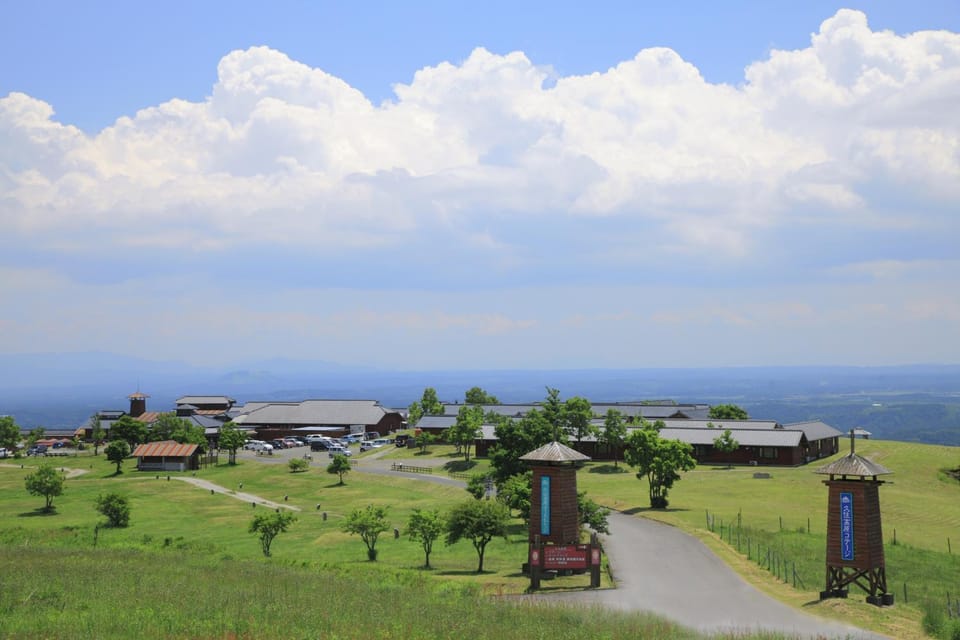 Area and facilities