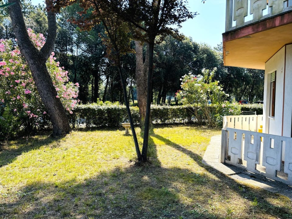 Day, Garden
