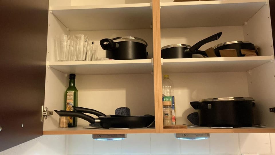 Kitchen or kitchenette, kitchen