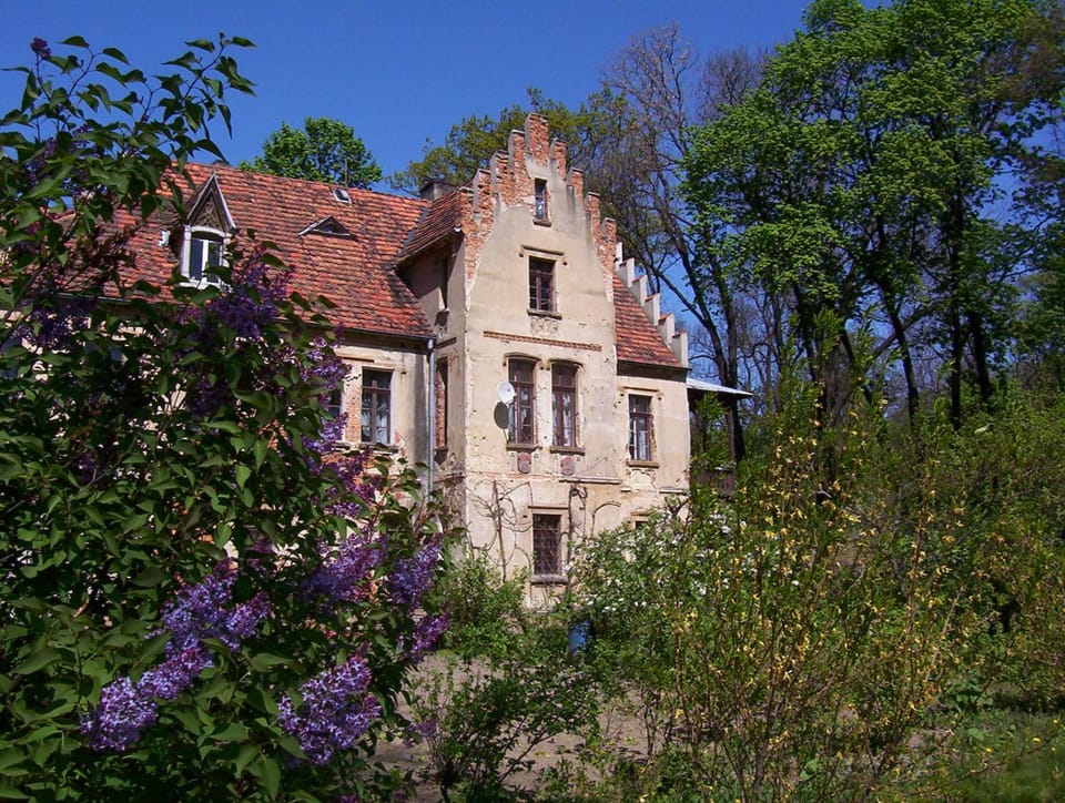 Property building, Garden view