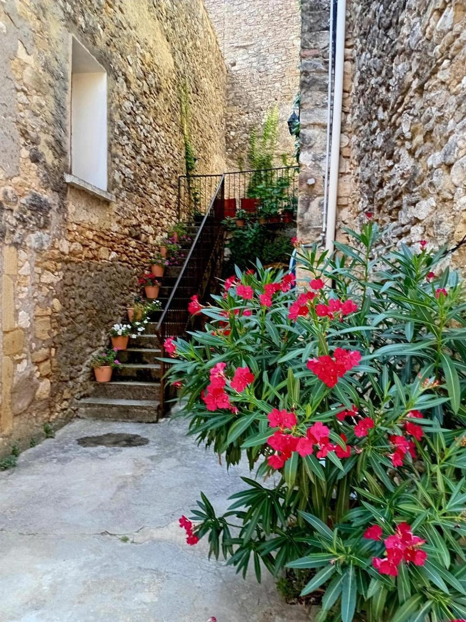 Grande maison en pierre au coeur du village provençal du XIe siecle 10 personnes House in Provence-Alpes-Côte d'Azur