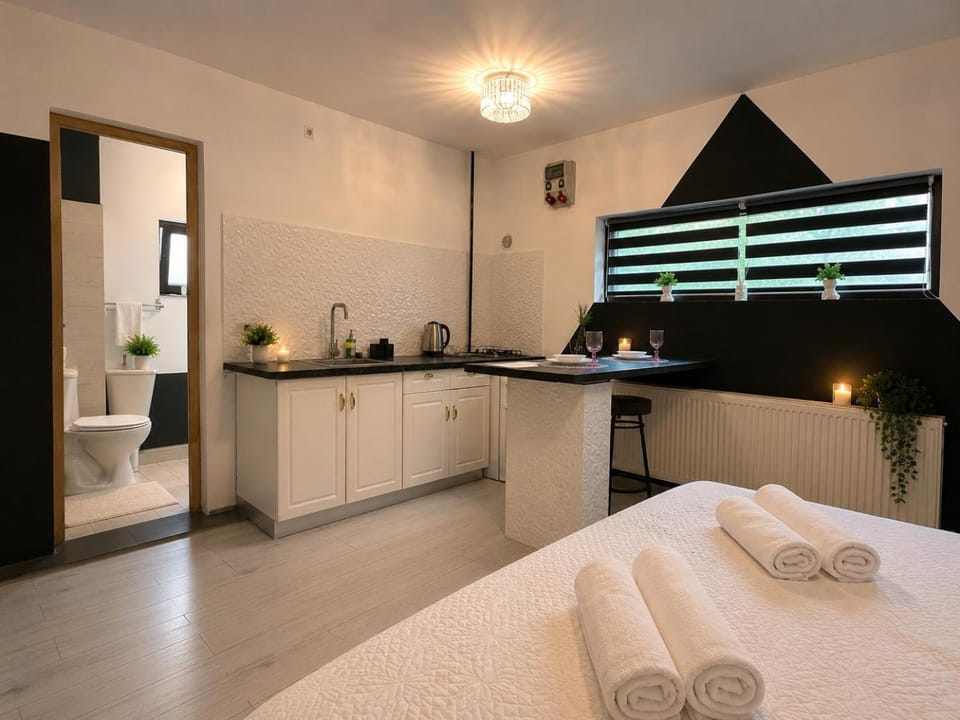 The Bridge Central Studio Apartment in Craiova