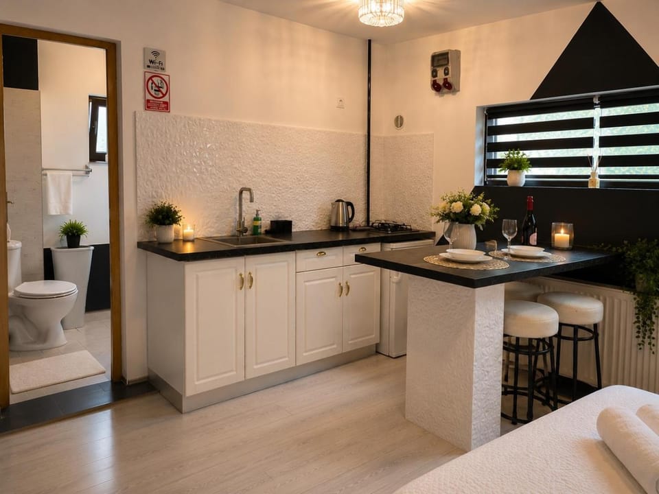 The Bridge Central Studio Apartment in Craiova